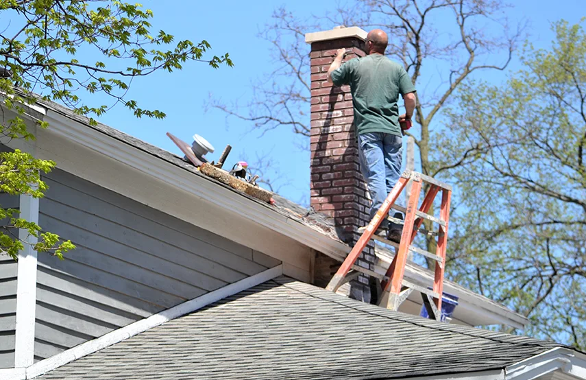 Chimney & Fireplace Inspections Services in Norristown, PA